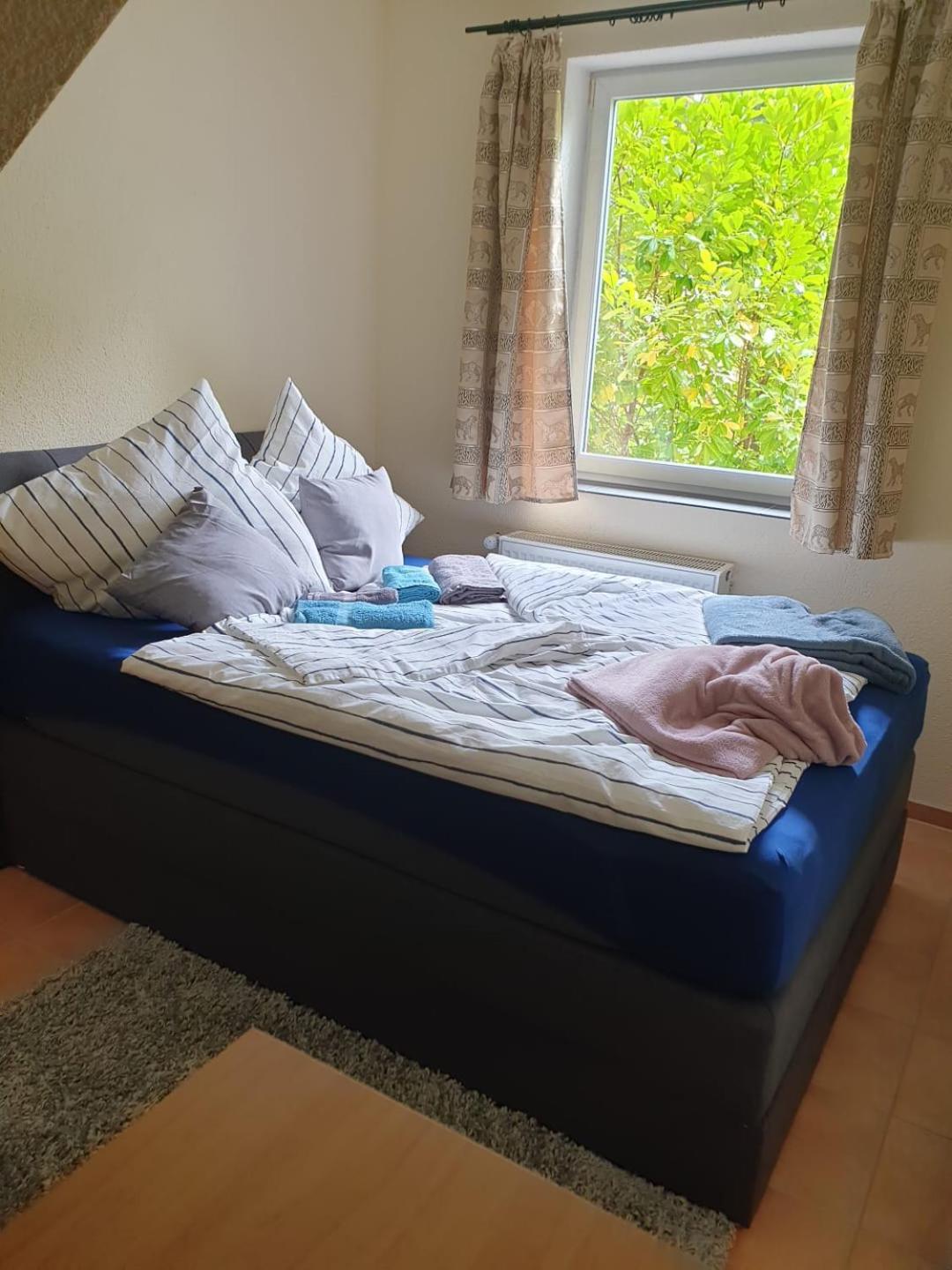 Ferienhaus Star Villa-Paelitzsee Grosszerlang エクステリア 写真